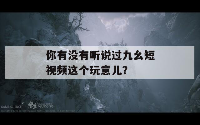 你有没有听说过九幺短视频这个玩意儿？  第1张