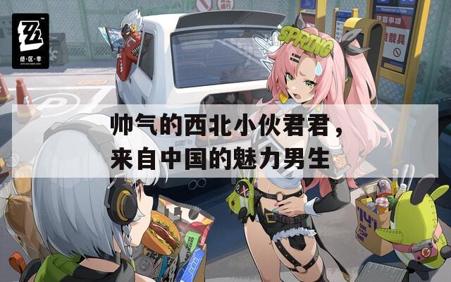 帅气的西北小伙君君，来自中国的魅力男生  第1张