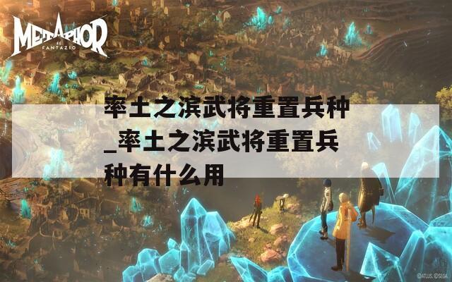率土之滨武将重置兵种_率土之滨武将重置兵种有什么用