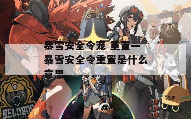 暴雪安全令宠 重置—暴雪安全令重置是什么意思