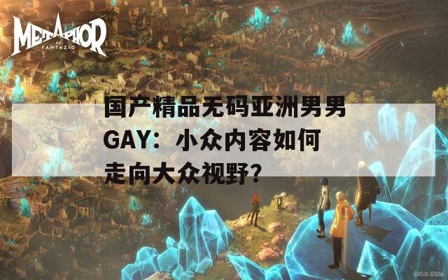 国产精品无码亚洲男男GAY：小众内容如何走向大众视野？