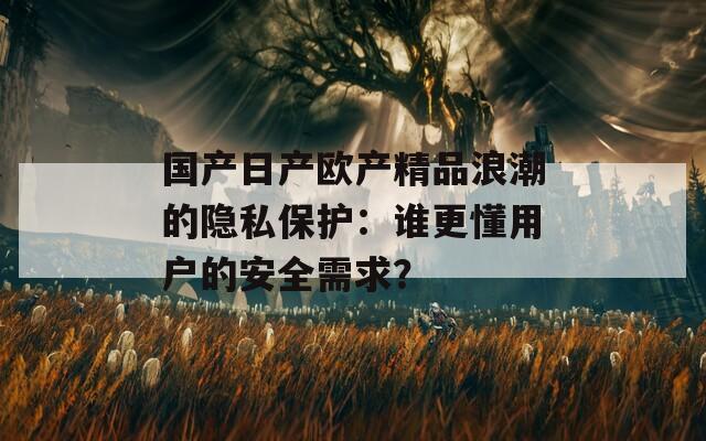国产日产欧产精品浪潮的隐私保护：谁更懂用户的安全需求？