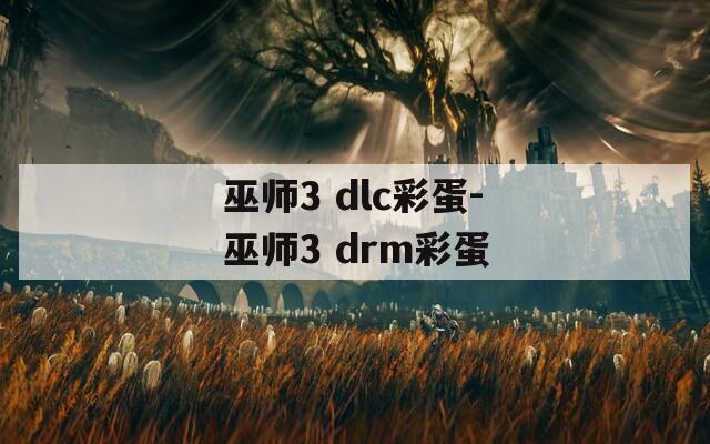 巫师3 dlc彩蛋-巫师3 drm彩蛋