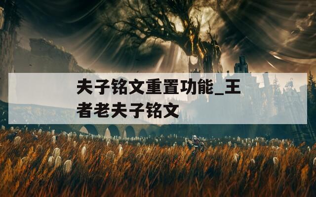 夫子铭文重置功能_王者老夫子铭文  第1张