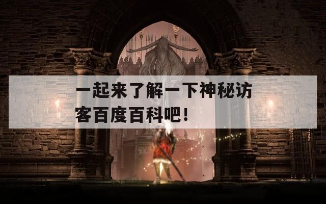 一起来了解一下神秘访客百度百科吧！