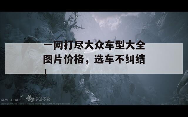 一网打尽大众车型大全图片价格，选车不纠结！  第1张