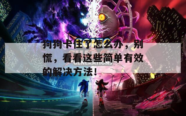 狗狗卡住了怎么办，别慌，看看这些简单有效的解决方法！