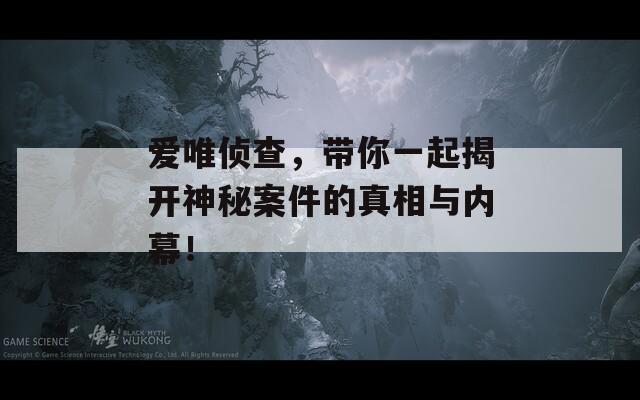 爱唯侦查，带你一起揭开神秘案件的真相与内幕！