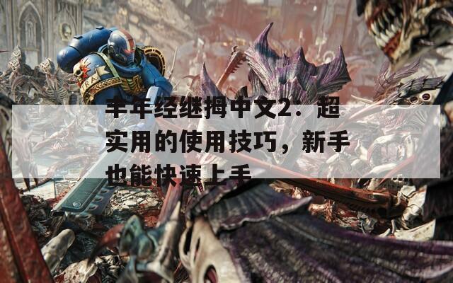 丰年经继拇中文2：超实用的使用技巧，新手也能快速上手  第1张