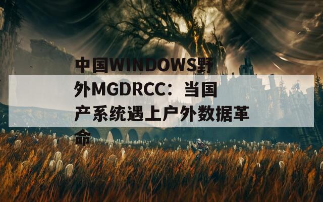中国WINDOWS野外MGDRCC：当国产系统遇上户外数据革命  第1张