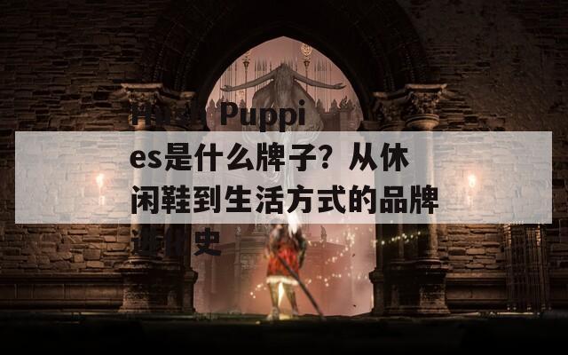 Hush Puppies是什么牌子？从休闲鞋到生活方式的品牌进化史  第1张