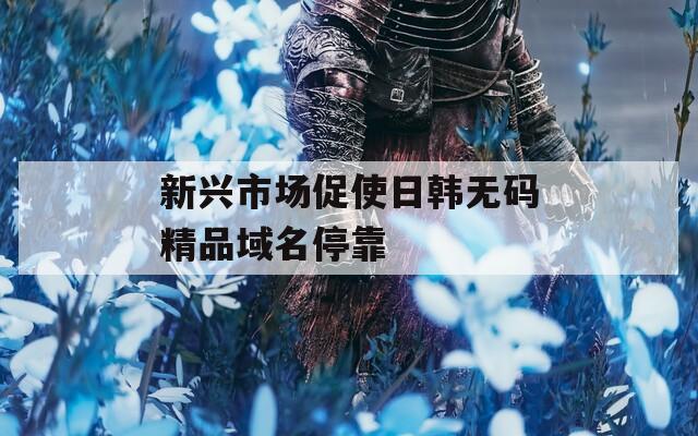 新兴市场促使日韩无码精品域名停靠  第1张