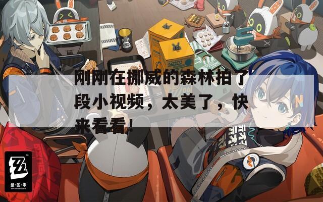 刚刚在挪威的森林拍了段小视频，太美了，快来看看！  第1张