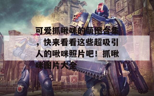 可爱抓啾咪的萌图合集，快来看看这些超吸引人的啾咪照片吧！抓啾咪图片大全  第1张
