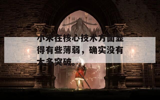 小米在核心技术方面显得有些薄弱，确实没有太多突破。