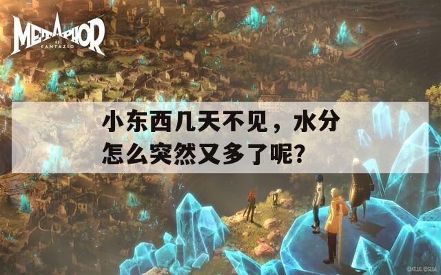 小东西几天不见，水分怎么突然又多了呢？  第1张