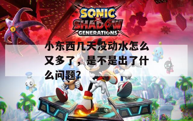小东西几天没动水怎么又多了，是不是出了什么问题？
