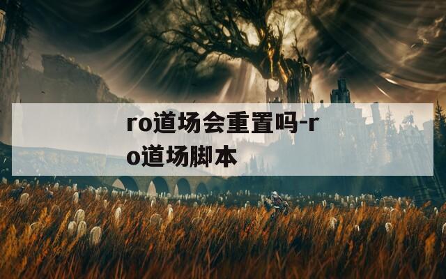 ro道场会重置吗-ro道场脚本