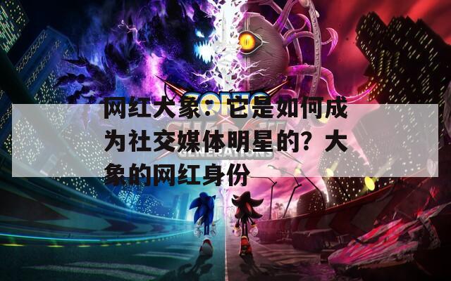 网红大象：它是如何成为社交媒体明星的？大象的网红身份  第1张