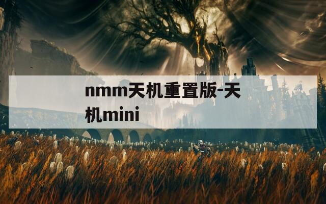 nmm天机重置版-天机mini  第1张