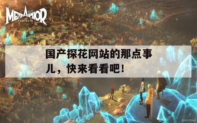 国产探花网站的那点事儿，快来看看吧！