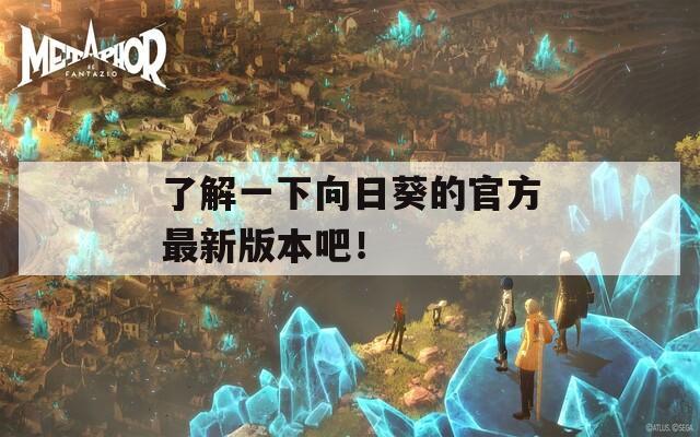 了解一下向日葵的官方最新版本吧！