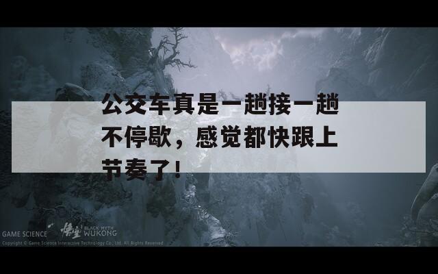 公交车真是一趟接一趟不停歇，感觉都快跟上节奏了！  第1张