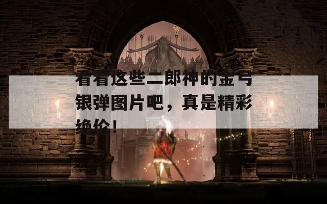 看看这些二郎神的金弓银弹图片吧，真是精彩绝伦！