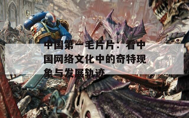 中国第一毛片片：看中国网络文化中的奇特现象与发展轨迹