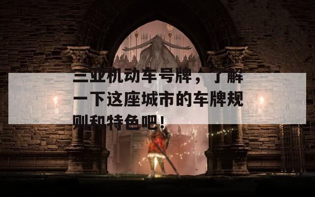 三亚机动车号牌，了解一下这座城市的车牌规则和特色吧！
