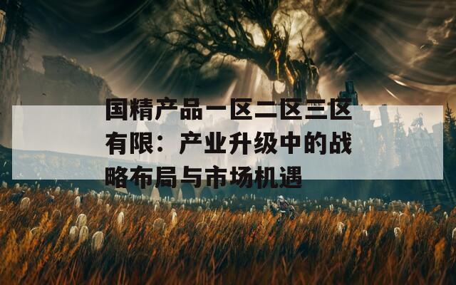 国精产品一区二区三区有限：产业升级中的战略布局与市场机遇