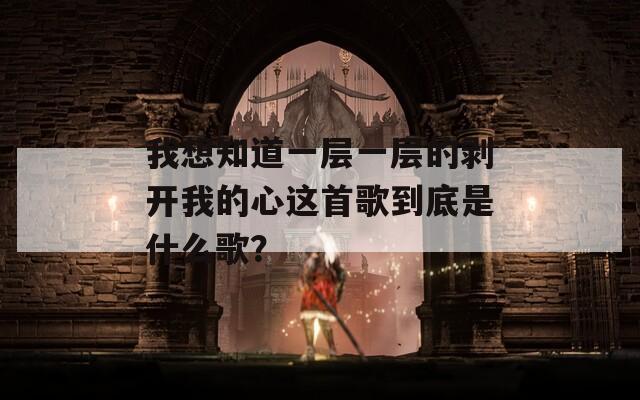 我想知道一层一层的剥开我的心这首歌到底是什么歌？