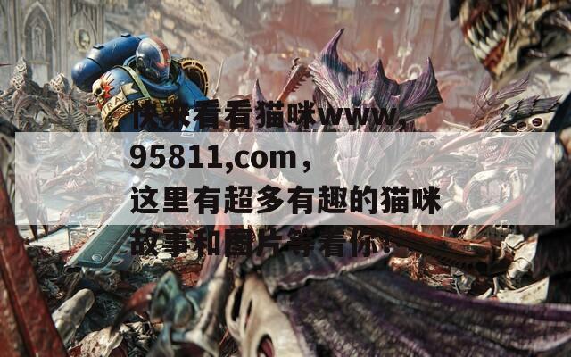 快来看看猫咪www,95811,com，这里有超多有趣的猫咪故事和图片等着你！