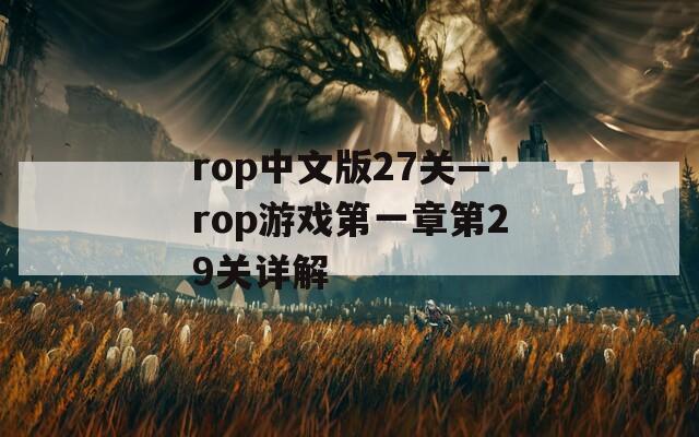 rop中文版27关—rop游戏第一章第29关详解