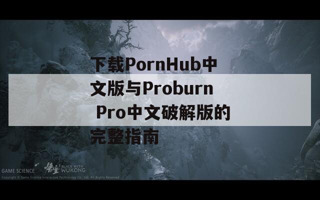 下载PornHub中文版与Proburn Pro中文破解版的完整指南