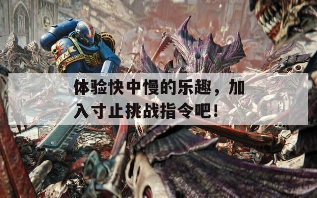 体验快中慢的乐趣，加入寸止挑战指令吧！