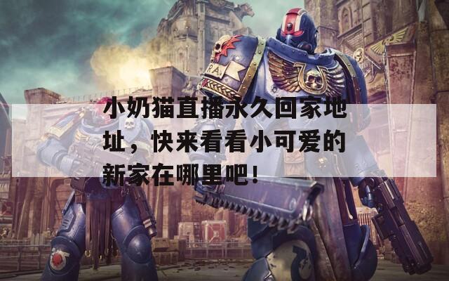 小奶猫直播永久回家地址，快来看看小可爱的新家在哪里吧！  第1张