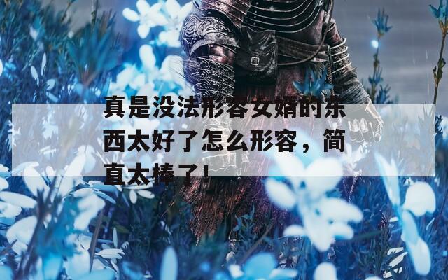 真是没法形容女婿的东西太好了怎么形容，简直太棒了！