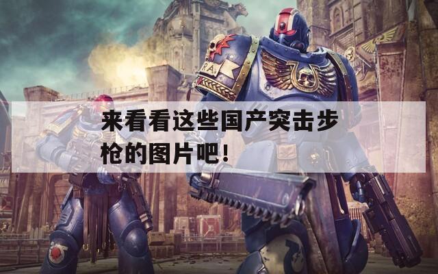 来看看这些国产突击步枪的图片吧！