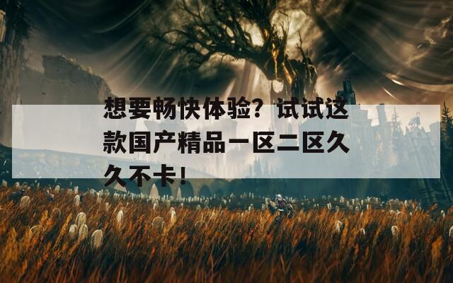 想要畅快体验？试试这款国产精品一区二区久久不卡！