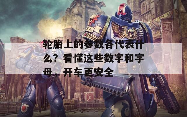 轮胎上的参数各代表什么？看懂这些数字和字母，开车更安全