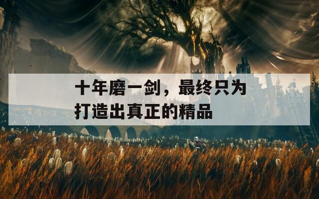 十年磨一剑，最终只为打造出真正的精品