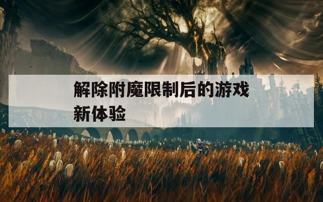 解除附魔限制后的游戏新体验  第1张