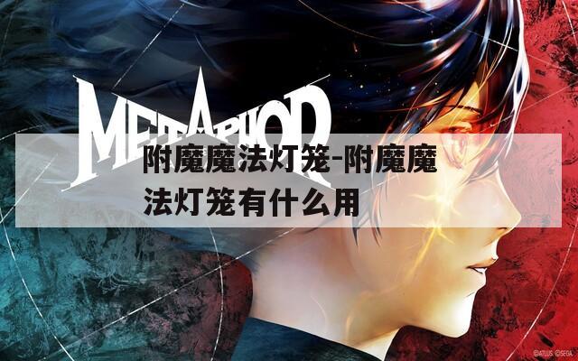 附魔魔法灯笼-附魔魔法灯笼有什么用
