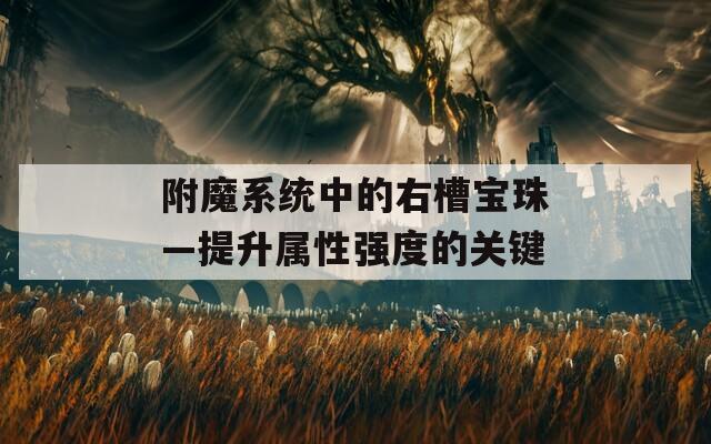 附魔系统中的右槽宝珠—提升属性强度的关键