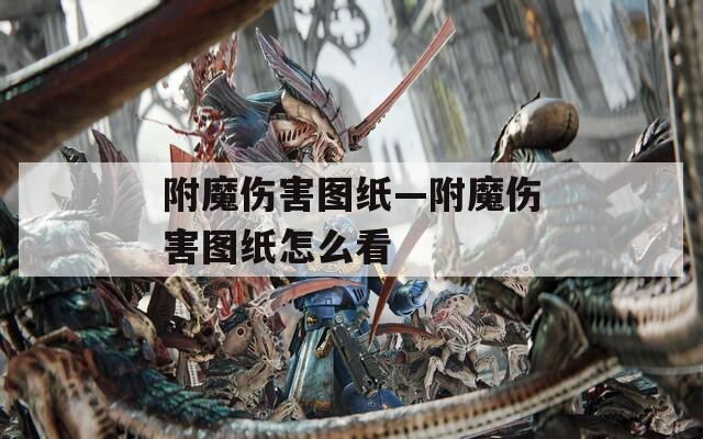 附魔伤害图纸—附魔伤害图纸怎么看