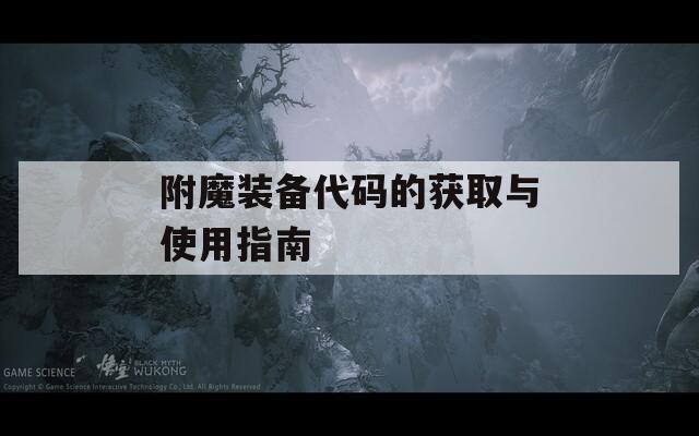 附魔装备代码的获取与使用指南