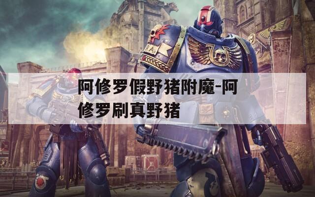 阿修罗假野猪附魔-阿修罗刷真野猪