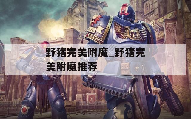 野猪完美附魔_野猪完美附魔推荐