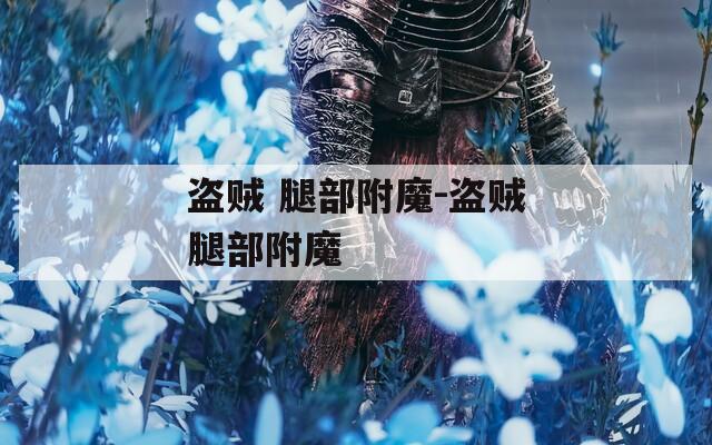 盗贼 腿部附魔-盗贼腿部附魔